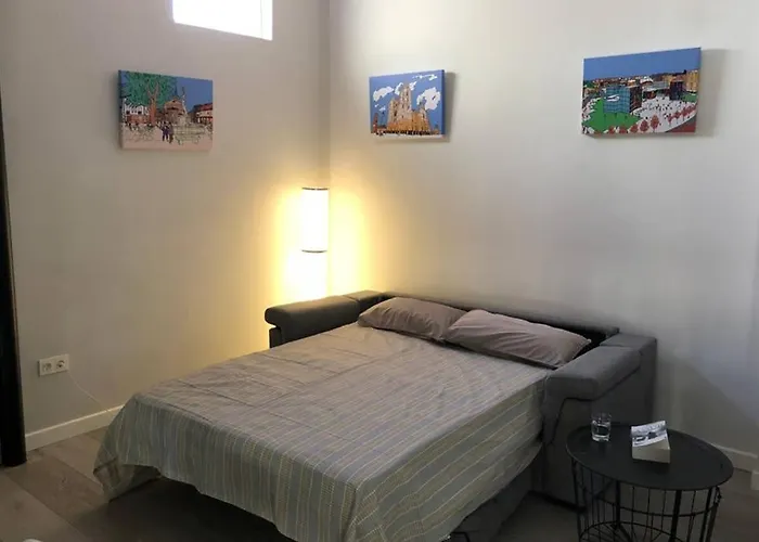 Piso Exterior Centro De Leon